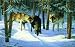 Wolf Trio 550pc Jigsaw Puzzle by Sam Timm