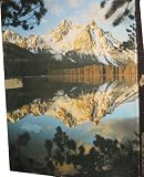 Springbok Puzzle - Over 500 Pieces - Rockies Reflection - Image of a Mountain in the Rocky Mountain Range By a Lake PZL4093