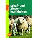 Patient Tier. Schaf- und Ziegenkrankheiten