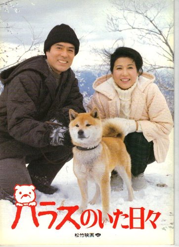 相楽晴子のアイテム画像