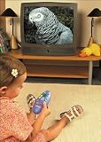 Weemote 3 - IR Remote For Kids