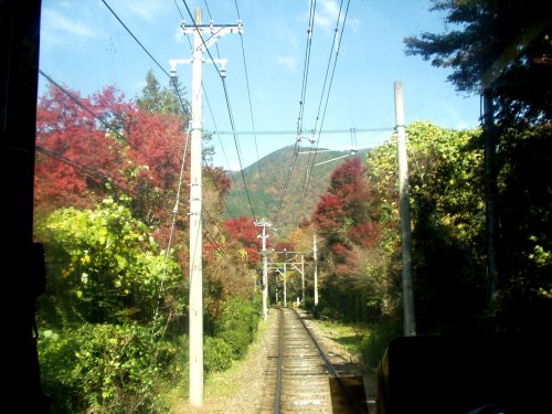マルチ運転室展望 箱根登山鉄道 [DVD]