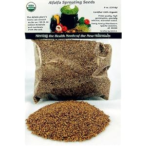 Certified Organic Alfalfa Sprout Seed 1