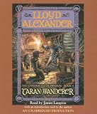 Taran Wanderer