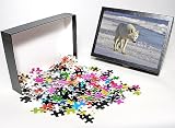 Photo Jigsaw Puzzle of Arctic Wolf from Ardea Wildlife Pets