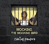 Mocking The Mocking Bird