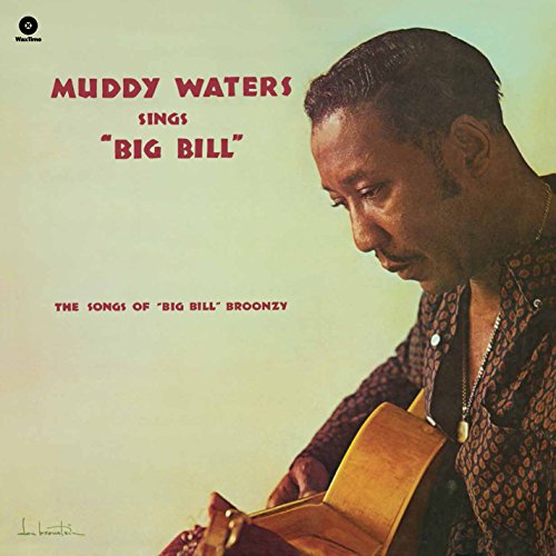 Album Art for Sings Big Bill Broonzy by Muddy Waters