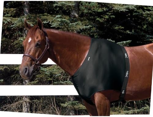 Toklat Jammies Designer Shoulder Guard
