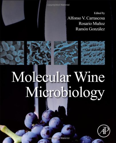 molecular wine microbiology