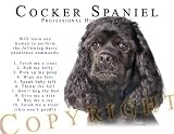 Cocker Spaniel BLACK "Human Trainer" Mouse Pad Dog Mousepad