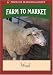 Farm to Market: Wool