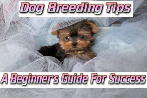Dog Breeding Tips – A Beginner’s Guide For Success