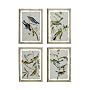 Two's Company Birdwatch Bird Wall Art Prints, Set of 4