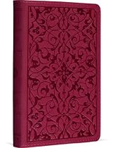 ESV Compact Bible (TruTone, Wild Rose, Floral Desi