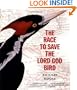 The Race to Save the Lord God Bird (The Boston Globe-Horn Book Award  (Awards))