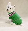 GREEN - SMALL - Intarsia Dog Sweater