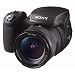 Sony Cyber-shot DSC-R1 Digitalkamera (10 Megapixel)