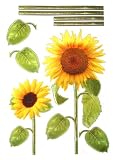 Produkt-Bild: 2 B&ouml;gen Wandbild Dekosticker Wandtattoo Sonnenblume 50x70cm