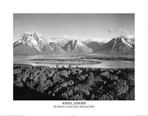 Mt Moran Grand Teton National Park Ansel Adams Photo Art Print Poster 28x22