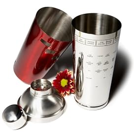 Recipe Cocktail Shaker, Red and Stainless Steel by Pinzon