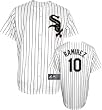 Alexei Ramirez Jersey: Adult 2010 Majestic Home Pinstripe Replica #10 Chicago White Sox Jersey