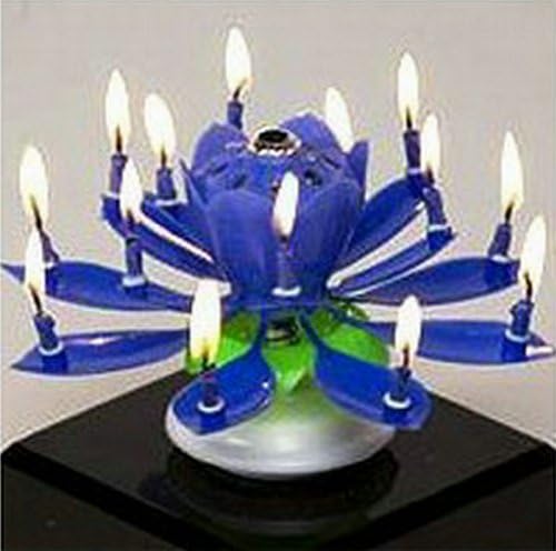 Ayygiftideas The Amazing Musical Happy Birthday Candle Lights 14 Party Flower Rotate Candles (Blue)