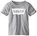 Levi's Baby Boys' Batwing Tee