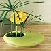 Pod Stoneware Vase - Oval Lime