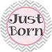 Girly Gray Monthly Baby Bodysuit Stickers
