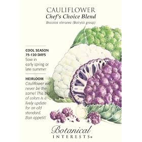Cauliflower Chef's Choice Blend Heirloom Seeds 100 Seeds