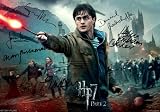 Harry Potter & The Deathly Hallows Part 2 Signed PP by 9 Cast Daniel Radcliffe Emma Watson Rupert Grint Gary Oldman Helena Bonham Carter Ralph Fiennes Alan Rickman A4 Poster Photo