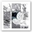 9 Patch VI - Limited Edition by Miguel Paredes 20"x20" Art Print Poster