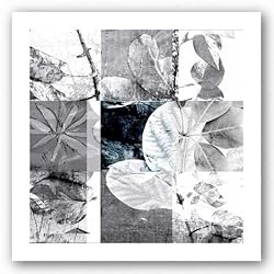 9 Patch VI - Limited Edition by Miguel Paredes 40"x40" Art Print Poster