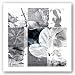 9 Patch VI - Limited Edition by Miguel Paredes 40"x40" Art Print Poster