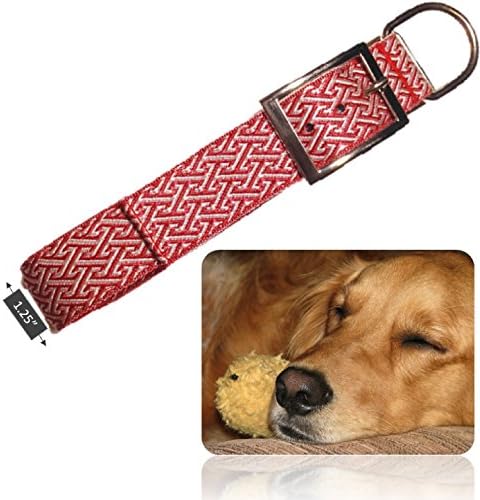 Genie Best Basic Dog Collar 1.25" Width for Medium Dogs with Strong/Long Necks. Cushion Nylon Collar With Padding &amp; Metal Buckle D-Ring. Bonus Travel Bowl &amp; eGuide (Red)