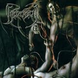 Recounts of Disembodiment