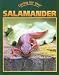 Caring for Your Salamander (Caring for Your Pet)