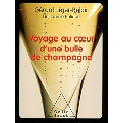 Voyage au coeur d'une bulle de champagne