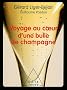 Voyage au coeur d'une bulle de champagne