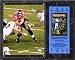 Mike Alstott Tampa Bay Buccaneers 12x15 Super Bowl XXXVII Plaque with Replica Ticket