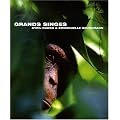 Grands singes