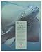1992 Manta Ray J Dawson art Chevron Oil Print Ad