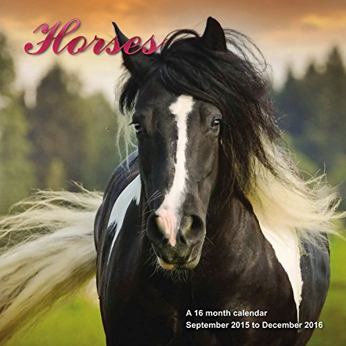 Horses Calendar - 2016 Wall calendars - Animal Calendar - Monthly Wall Calendar by Magnum