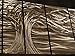 ASH CARL Contemporary Metal Wall Art. Wall Sculptures