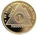 AA Medallion Gold Plated Year 1 - 50 Serenity Prayer Chip