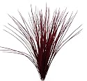 Artificial Onion Grass - 50cm, Burgundy