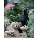 51cVTSikNOL. SL160  Unleashed Life De Jardin Lion Head Collection, Large