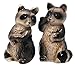 Salt & Pepper Shaker Set Raccoon