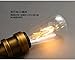 Injuicy Lighting Energy Saving ST64 Loft 4W LED Decorative Vintage Edison Light Bulb Squirrel Cage E27 AC110v-220V Edison Teardrop Vintage Lamp