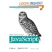 High Performance JavaScript (Build Faster Web Application Interfaces)